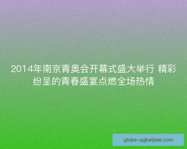 2014年南京青奥会开幕式盛大举行 精彩纷呈的青春盛宴点燃全场热情