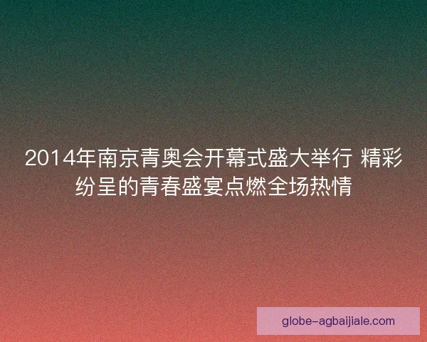 2014年南京青奥会开幕式盛大举行 精彩纷呈的青春盛宴点燃全场热情