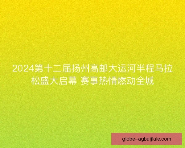 2024第十二届扬州高邮大运河半程马拉松盛大启幕 赛事热情燃动全城
