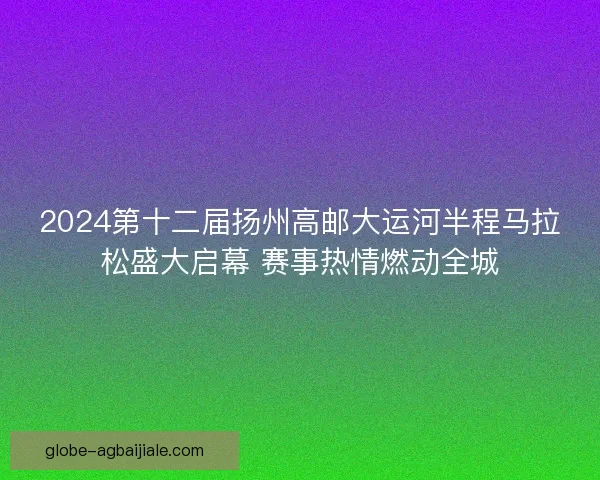 2024第十二届扬州高邮大运河半程马拉松盛大启幕 赛事热情燃动全城